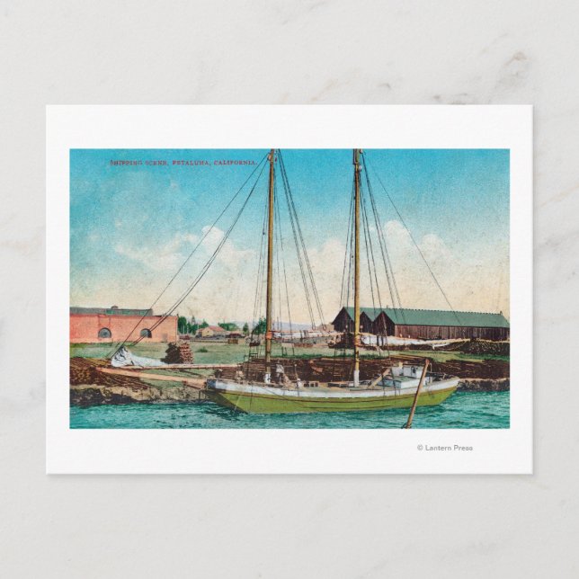 A Shipping Schooner ScenePetaluma, CA Postcard (Front)