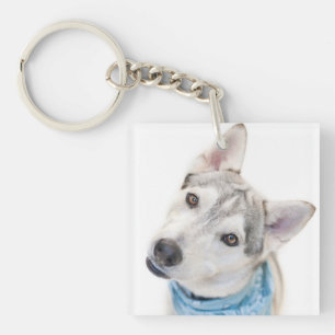 A Siberian Husky Mix Tilts its Head Key Ring
