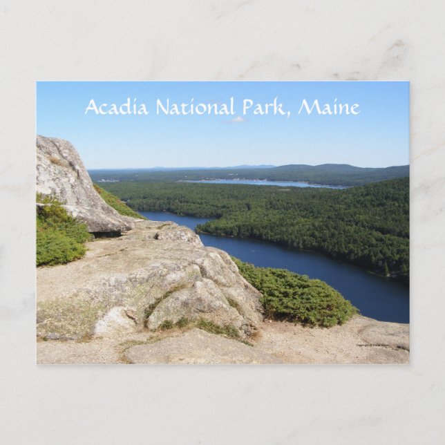 A Sight to See Postcard (Front)