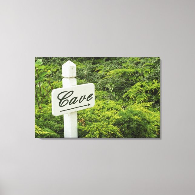 A sign pointing tho the wine cellar (Cave) in (Front)