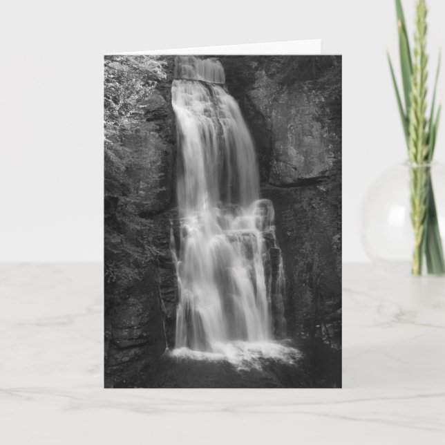 A Silent Roar Card (Front)