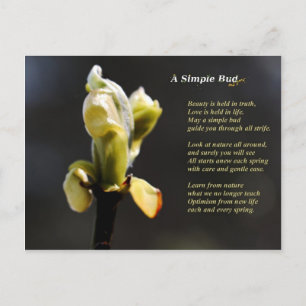 A Simple Bud Postcard