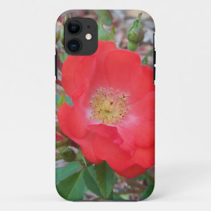 A simple salmon coloured open rose iPhone 11 case