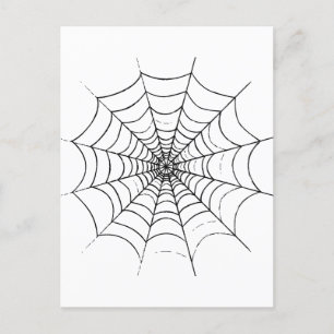 A Simple Spider's Web Postcard