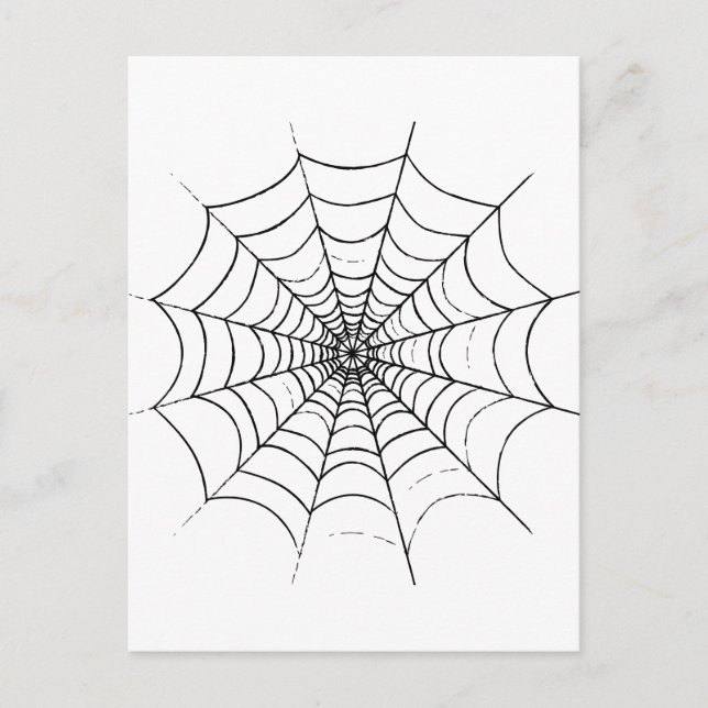 A Simple Spider's Web Postcard (Front)