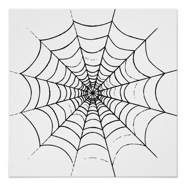 A Simple Spider's Web Poster (Front)