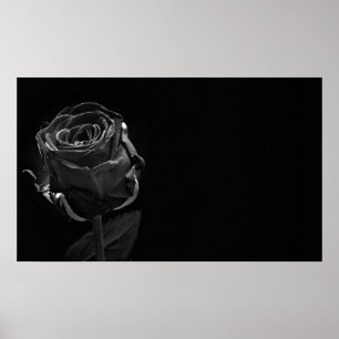A Single Black Rose Poster