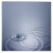 A single droplet of water falling into a calm