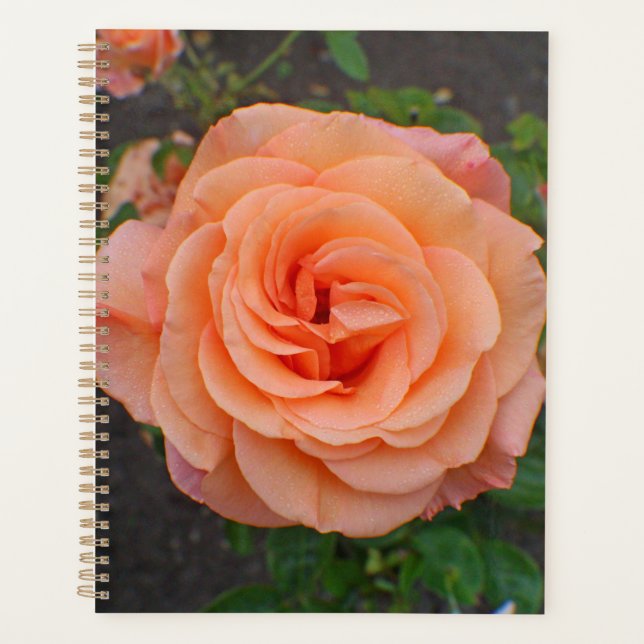 A Single Orange Flower Planner (Front)
