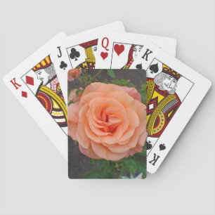 A Single Orange Flower Playing Cards