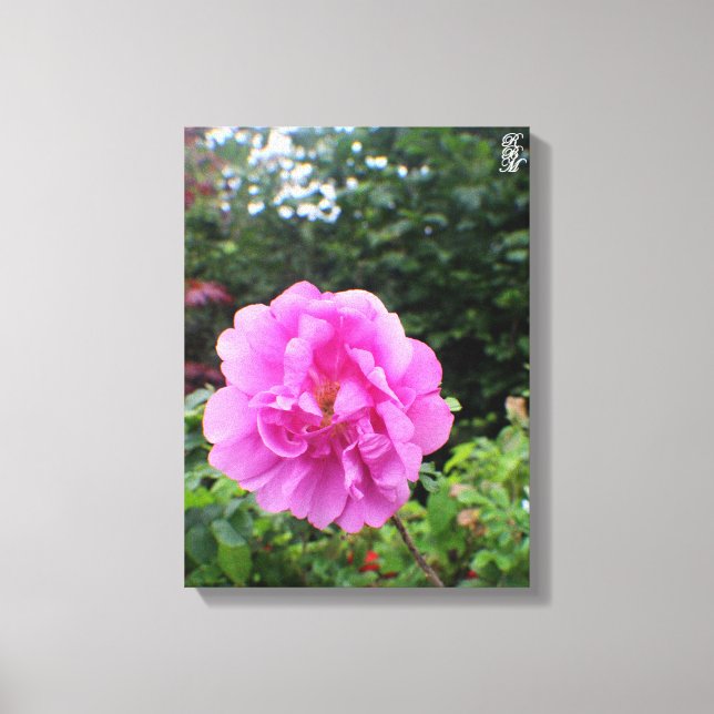 A Single Pink Flower Canvas Print (Front)