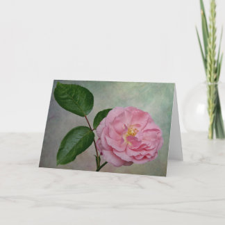 A single pink flower card