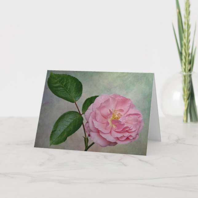 A single pink flower card (Front)