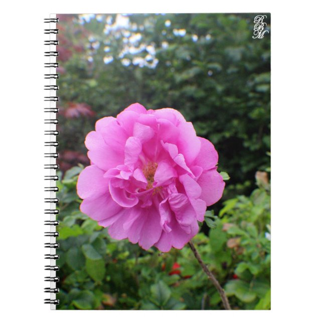 A Single Pink Flower Notebook (Front)