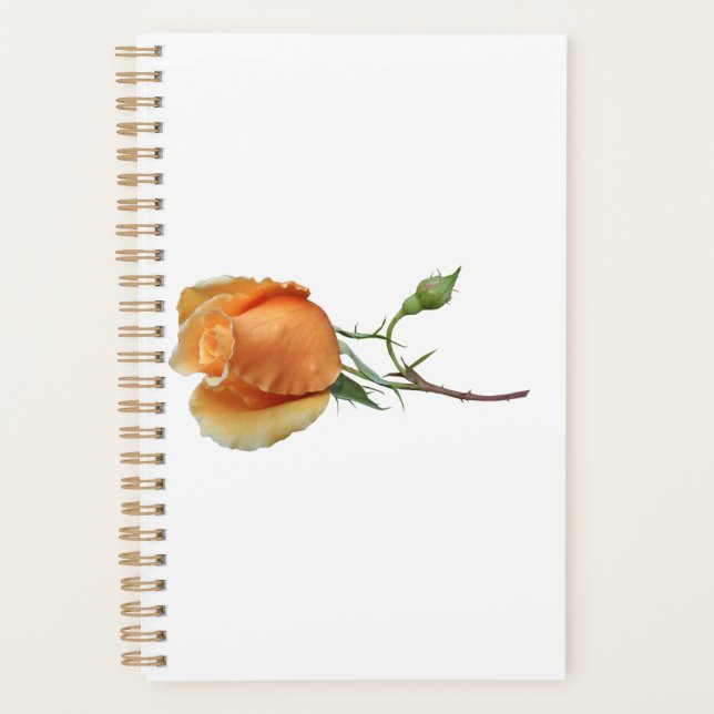 A single rose cutting        planner (Front)
