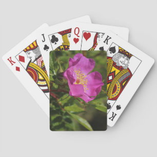 A Single Wild Rose Playing Cards