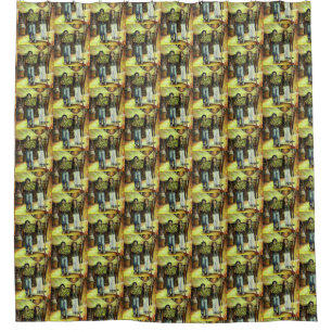A Sistine ChapeI Phase of a ChaIIenge Shower Curtain