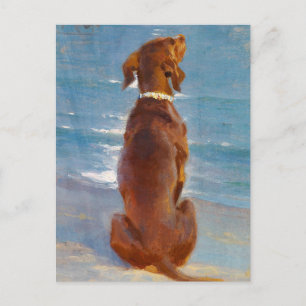 A sitting brown dog by P.S. Kroyer Postcard