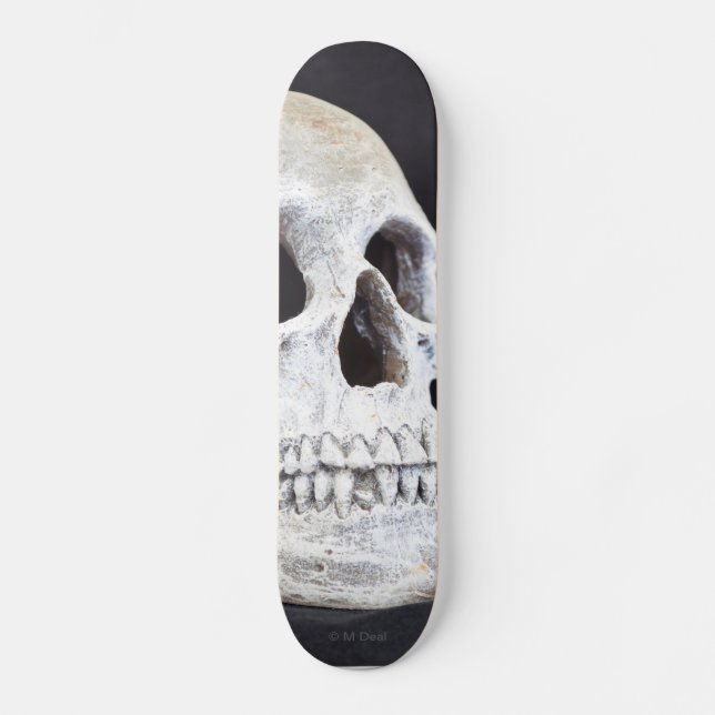 A Skull Skateboard (Front)