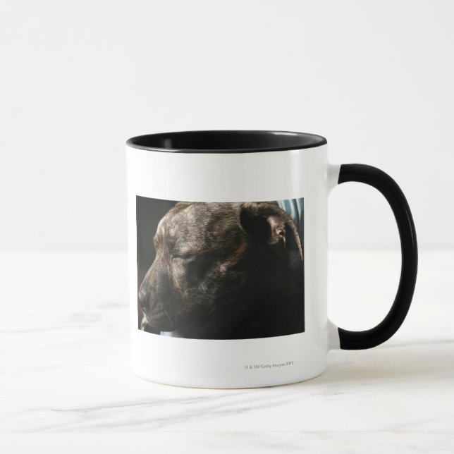 A sleeping pit bull dog mug (Right)