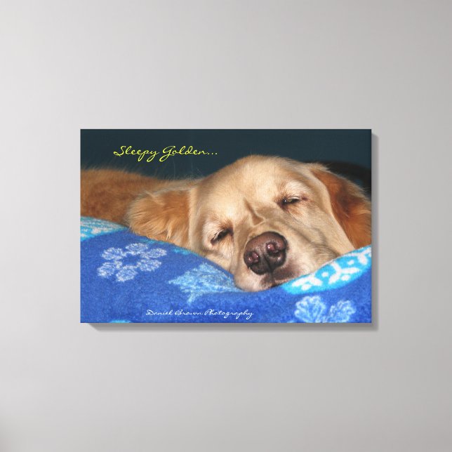 A Sleepy Golden Retriever Canvas Print (Front)