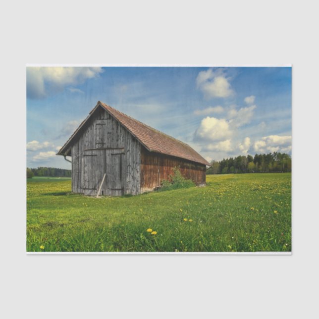 A Small Grey and Brown Barn in a Flower Field Tissue Paper (Front)