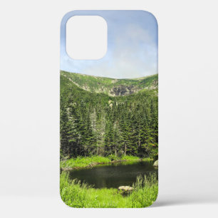 A small pond in the valley of the mountains in the iPhone 12 case
