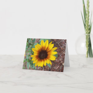 A small yellow sunflower in the flower garden note card