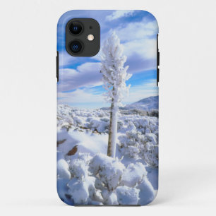 A snow covered yucca iPhone 11 case