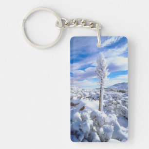 A snow covered yucca key ring