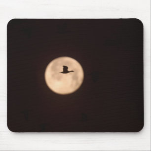 A Snow Goose Against A Full Moon New Mexico Mouse Mat