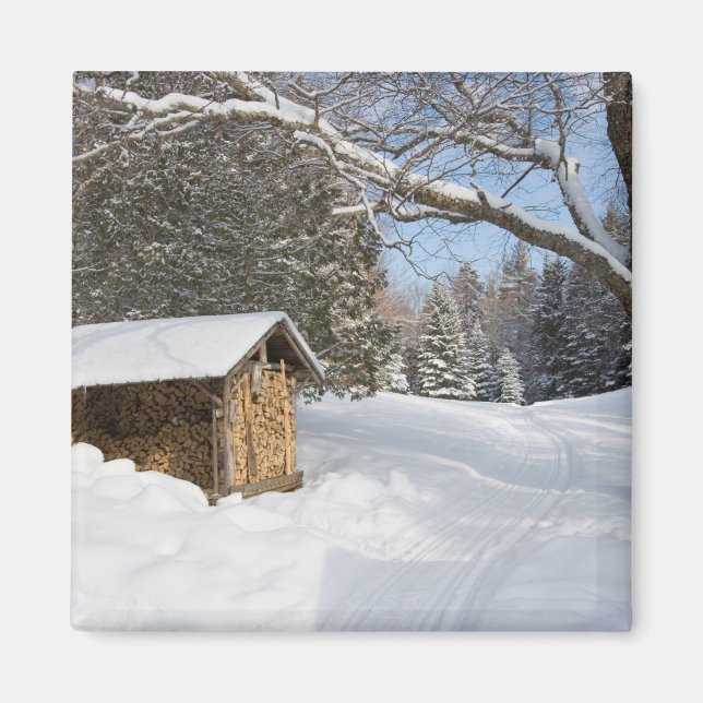 A snowy scene at the AMC's Little Lyford Pond Magnet (Front)