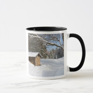 A snowy scene at the AMC's Little Lyford Pond Mug