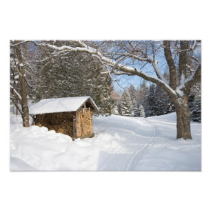 A snowy scene at the AMC's Little Lyford Pond Photo Print