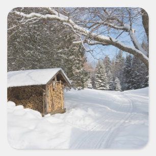 A snowy scene at the AMC's Little Lyford Pond Square Sticker
