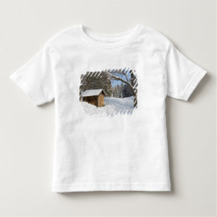 A snowy scene at the AMC's Little Lyford Pond Toddler T-Shirt
