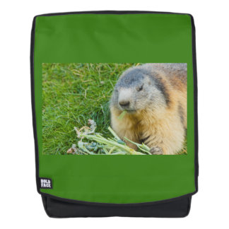 a sociable marmot on Adult Backpack + Face