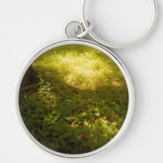 a soft light key ring