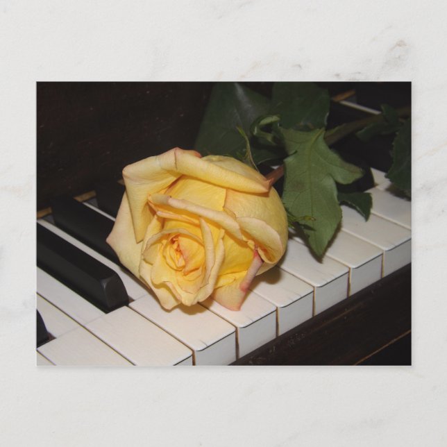 A Song From A Rose Postcard (Front)