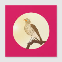 A song thrush sat on a branch