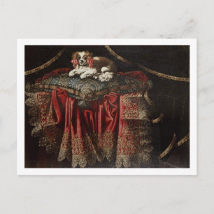 A spaniel seated on an embroidered cushion postcard