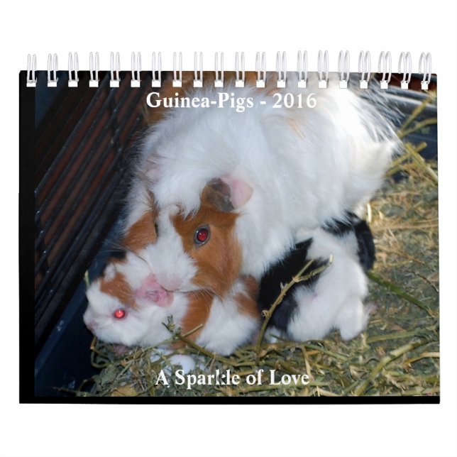 A Sparkle of Love Calendar (Cover)