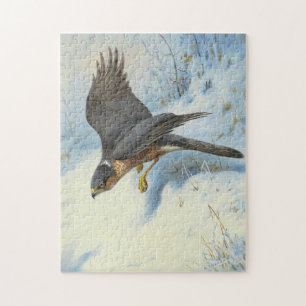 A Sparrow-hawk in Flight Jigsaw Puzzle