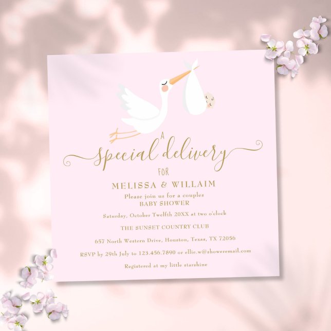 A Special Delivery Couples Baby Shower Sprinkle Invitation (A Special Delivery Couples Baby Shower Sprinkle Invitation)