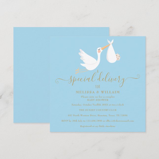 A Special Delivery Couples Baby Shower / Sprinkle Invitation (Front/Back)