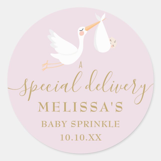 A Special Delivery Stork Baby Shower / Sprinkle Classic Round Sticker (Front)