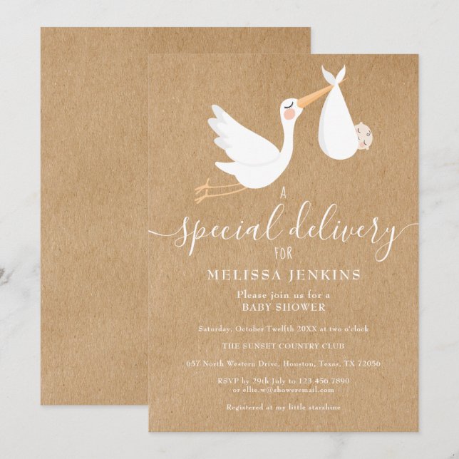A Special Delivery Stork Baby Shower / Sprinkle Invitation (Front/Back)
