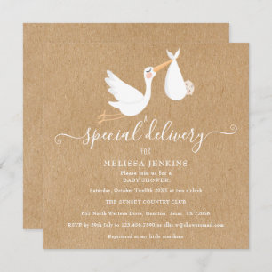 A Special Delivery Stork Baby Shower / Sprinkle Invitation