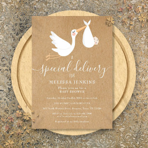 A Special Delivery Stork Baby Shower / Sprinkle Invitation