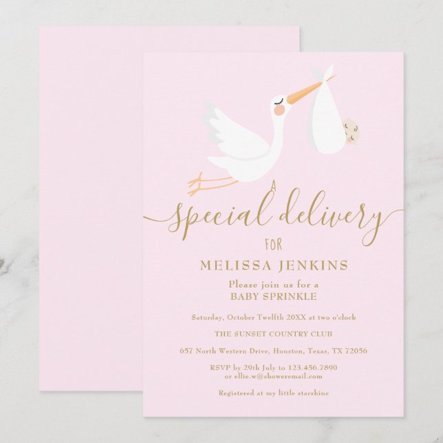 A Special Delivery Stork Baby Shower / Sprinkle Invitation (Front/Back)